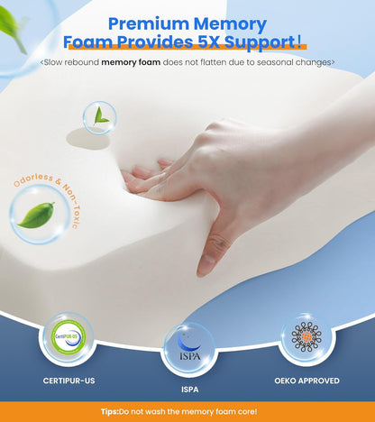 Orthopedic Koddi - Memory Foam